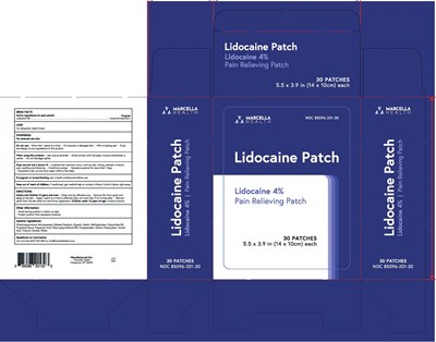 85096-201-30 Box (85096 201 30 Box Artwork)